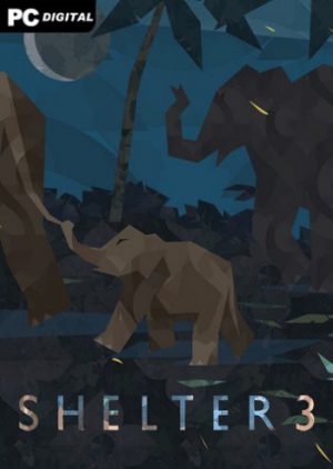 Shelter 3