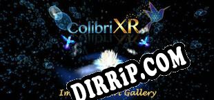 Colibri XR Immersive Art Gallery (2021/ENG/Cracked)