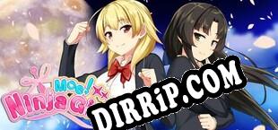Moe Ninja Girls download
