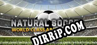 Natural Soccer (2015/MULTI/RePack by iNFLUENCE)
