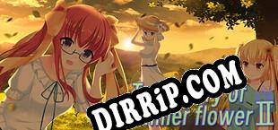 Trajectory of summer flower Ⅱ download