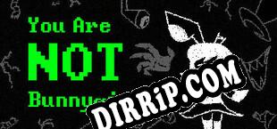 You Are NOT Bunnygirl download